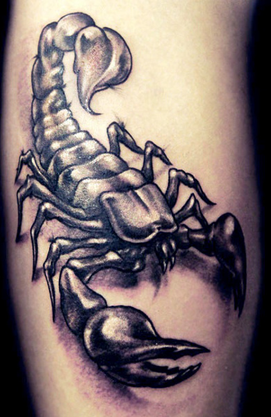 Tattoo scorpion - valoare, schițe de tatuaje și fotografii