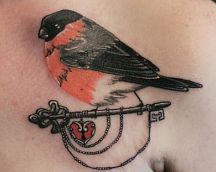 Bullfinch Tattoo