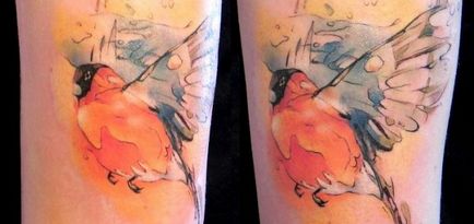 Bullfinch Tattoo