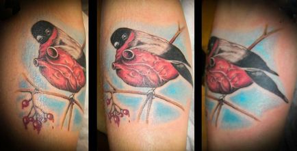 Bullfinch Tattoo