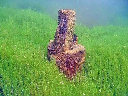 Secretele locurilor din parcul bazovskie, fotografiile vii)