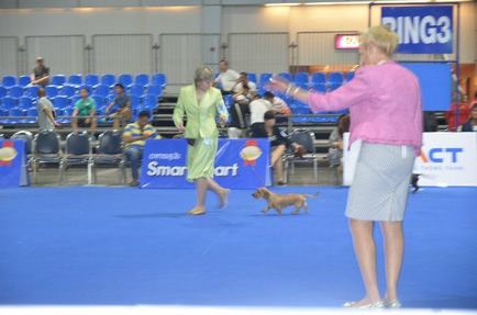 Thailand international dog show 2015 june 25 - 28, 2015 - результати кінологічних заходів -