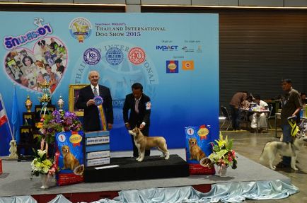 Thailand international dog show 2015 june 25 - 28, 2015 - результати кінологічних заходів -