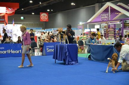 Thailand international dog show 2015 june 25 - 28, 2015 - результати кінологічних заходів -