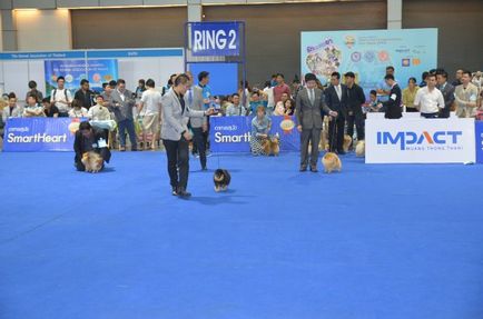 Thailand international dog show 2015 june 25 - 28, 2015 - результати кінологічних заходів -