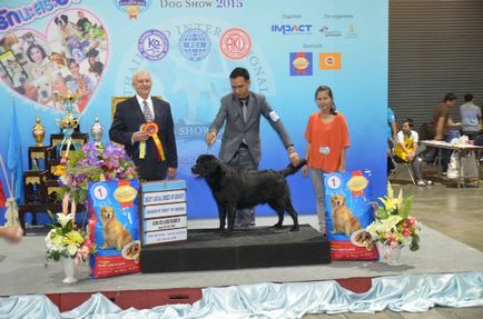 Thailand international dog show 2015 june 25 - 28, 2015 - результати кінологічних заходів -