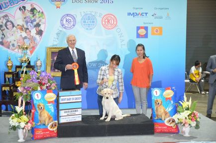 Thailand international dog show 2015 june 25 - 28, 2015 - результати кінологічних заходів -