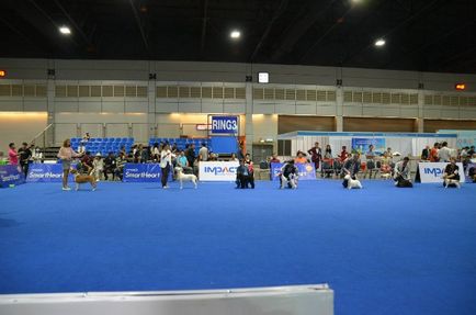 Thailand international dog show 2015 june 25 - 28, 2015 - результати кінологічних заходів -