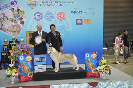 Thailand international dog show 2015 june 25 - 28, 2015 - результати кінологічних заходів -