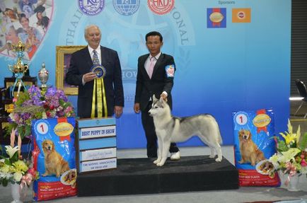 Thailand international dog show 2015 june 25 - 28, 2015 - результати кінологічних заходів -