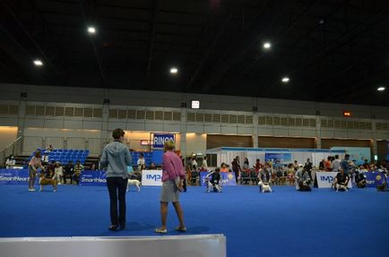 Thailand international dog show 2015 june 25 - 28, 2015 - результати кінологічних заходів -