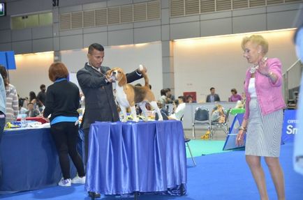 Thailand international dog show 2015 june 25 - 28, 2015 - результати кінологічних заходів -