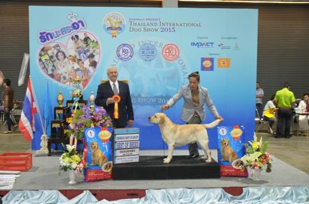 Thailand international dog show 2015 june 25 - 28, 2015 - результати кінологічних заходів -