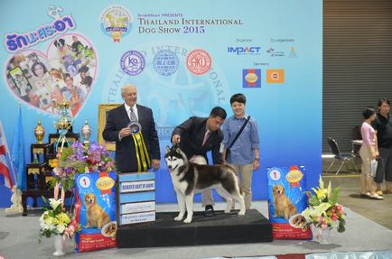 Thailand international dog show 2015 june 25 - 28, 2015 - результати кінологічних заходів -