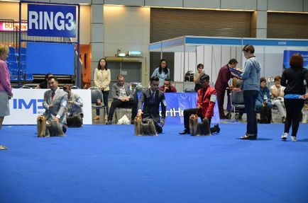 Thailand international dog show 2015 june 25 - 28, 2015 - результати кінологічних заходів -