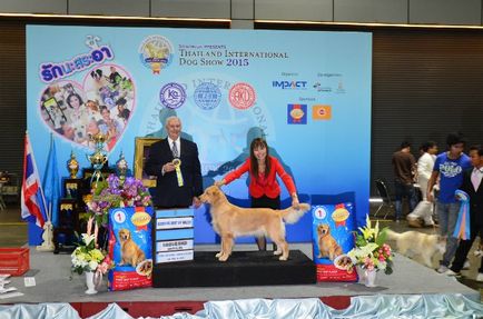 Thailand international dog show 2015 june 25 - 28, 2015 - результати кінологічних заходів -