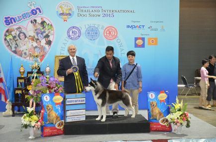 Thailand international dog show 2015 june 25 - 28, 2015 - результати кінологічних заходів -