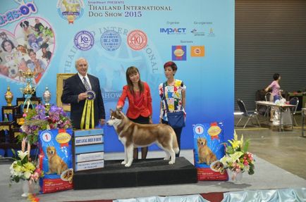 Thailand international dog show 2015 june 25 - 28, 2015 - результати кінологічних заходів -