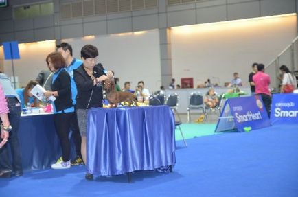 Thailand international dog show 2015 june 25 - 28, 2015 - результати кінологічних заходів -