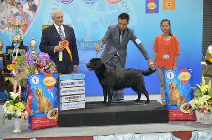 Thailand international dog show 2015 june 25 - 28, 2015 - результати кінологічних заходів -