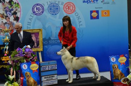 Thailand international dog show 2015 june 25 - 28, 2015 - результати кінологічних заходів -