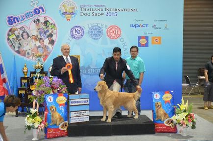 Tailanda internationala de caine 2015 iunie 25 - 28, 2015 - rezultatele evenimentelor cinologice -