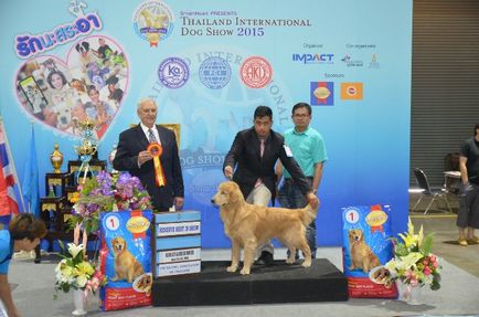 Thailand international dog show 2015 june 25 - 28, 2015 - результати кінологічних заходів -