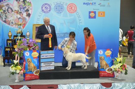 Thailand international dog show 2015 june 25 - 28, 2015 - результати кінологічних заходів -