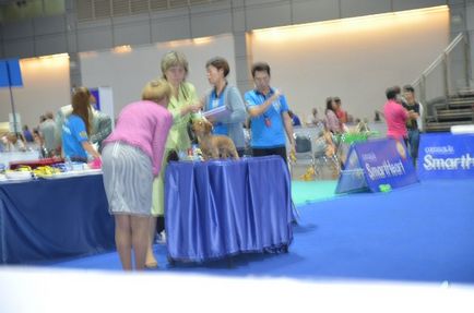 Thailand international dog show 2015 june 25 - 28, 2015 - результати кінологічних заходів -