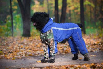 Tiande prezintă mijloace naturale pentru copii