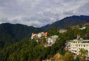 Medicina tibetană în Dharamsala