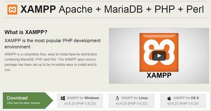 Instalarea de servere web locale xampp, cogitas