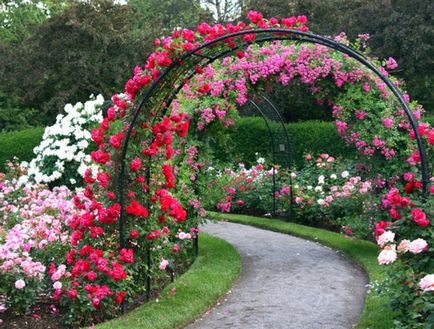 O grădină confortabilă de trandafiri lângă casă