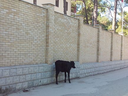 În Abhazia cu mașina