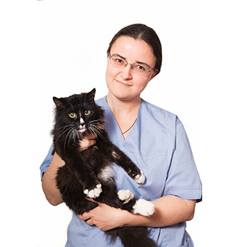 Veterinar-oncolog în Kazan adresa, prețuri, recenzii