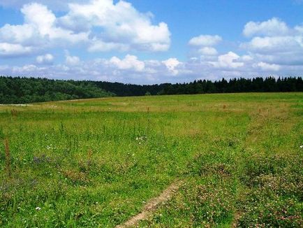 Викуп земельної ділянки у власність як розрахувати вартість