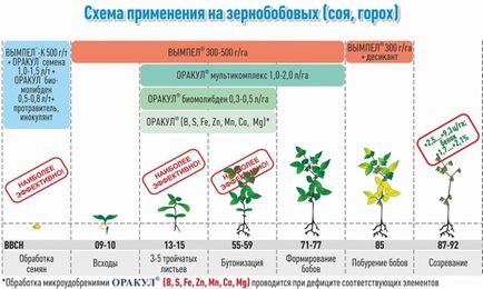 Вирощування сої без втрат, новини на