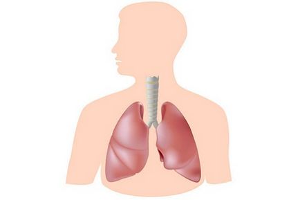 Tuse severă și cauze de respirație tare și tratamentul patologiilor
