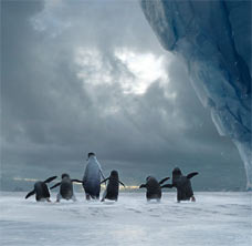 Вийшов мультфільм про пінгвінів «роби ноги»