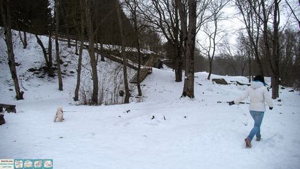 Водоспад Ягала в Естонії