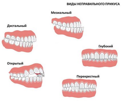 medicul ortodont