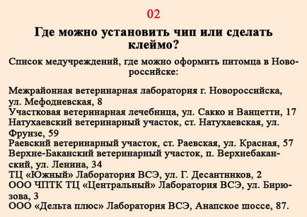 Вступив в силу закон про чіпування домашніх тварин скільки коштує чіп і де його встановити