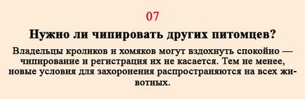 Вступив в силу закон про чіпування домашніх тварин скільки коштує чіп і де його встановити