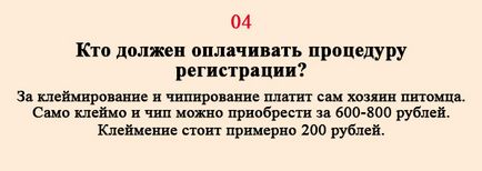 Вступив в силу закон про чіпування домашніх тварин скільки коштує чіп і де його встановити