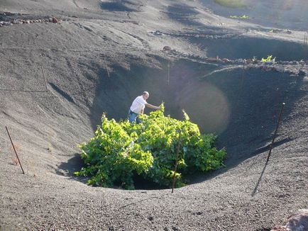 Podgoriile vulcanice din lanzarote, la geria, el grifo, lanzarote fotografie cum să ajungi de la și la