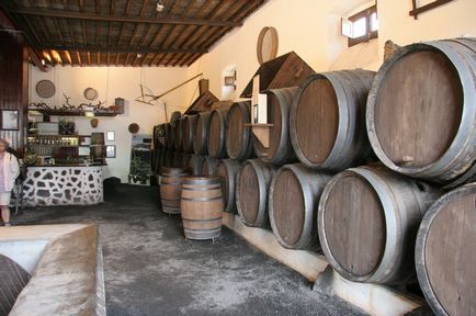 Вулканічні виноградники Лансароте, la geria, el grifo, Лансароте фото, як доїхати від і до