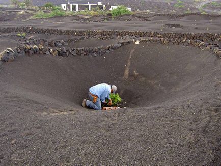 Podgoriile vulcanice din lanzarote, la geria, el grifo, lanzarote fotografie cum să ajungi de la și la