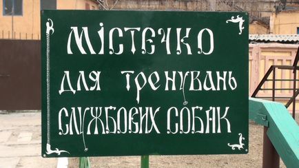 Харківські «тюремні» собаки снідають по-англійськи