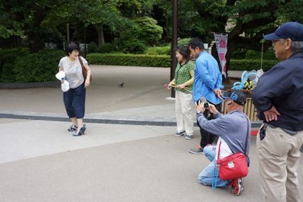 Japonezii au făcut pantofi sub formă de porumbei și au publicat instrucțiuni de a crea același lucru