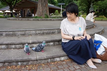 Japonezii au făcut pantofi sub formă de porumbei și au publicat instrucțiuni de a crea același lucru
